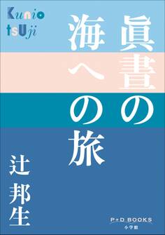 P+D BOOKS 眞晝の海への旅