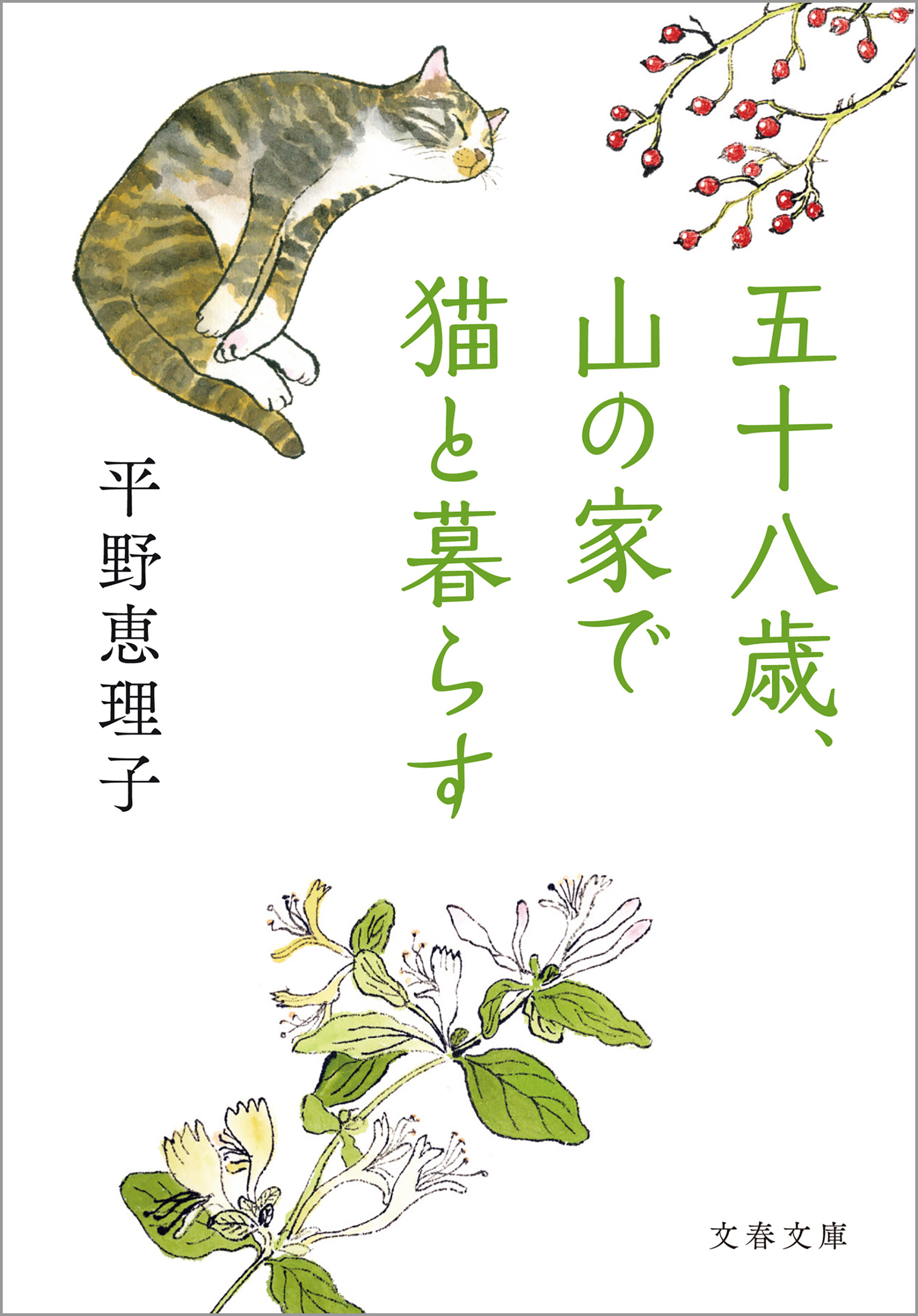 五十八歳、山の家で猫と暮らす
