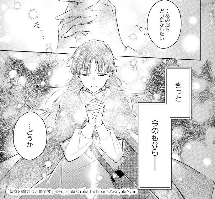 魔物討伐で「聖女の術」を発動