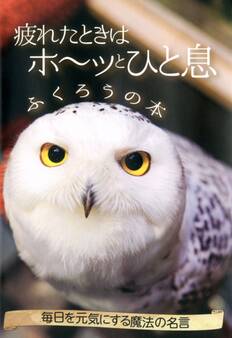 疲れたときはホ~ッとひと息 ふくろうの本