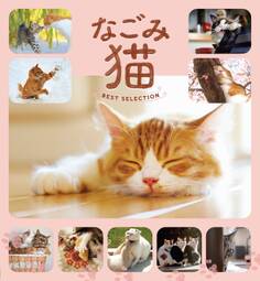 なごみ猫 BEST SELECTION
