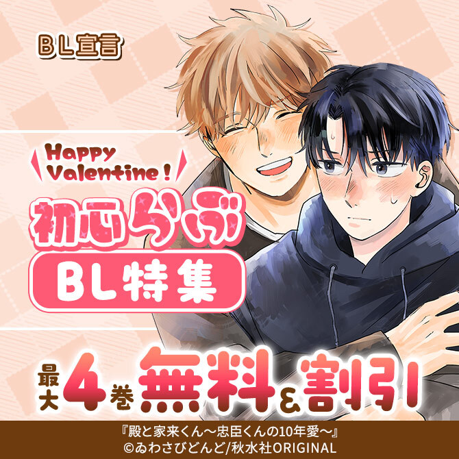 29 BL本まとめ売り ボーイズラブコミックス BOYS LOVE COMICS 30 BL本