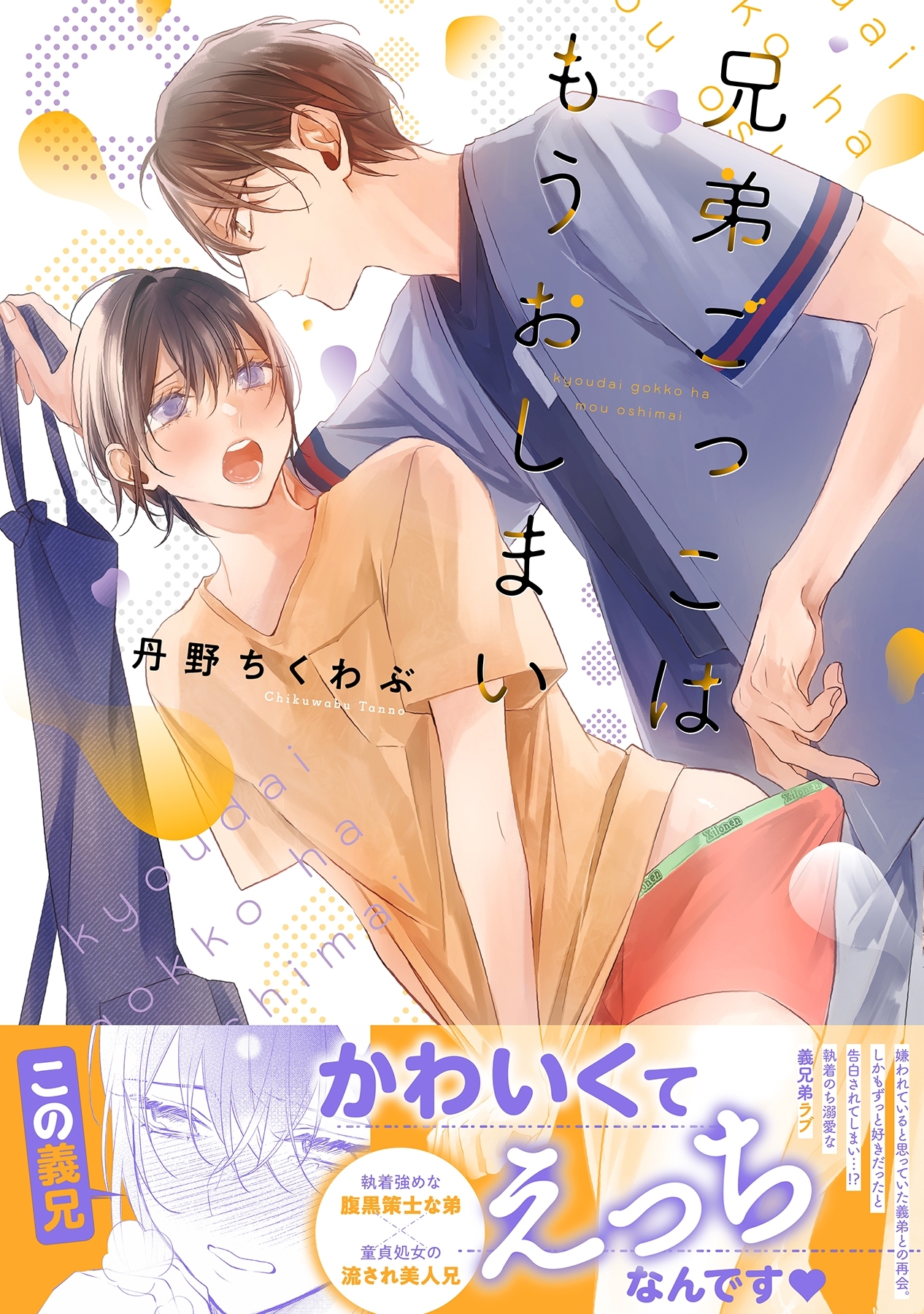 兄弟ごっこはもうおしまい【電子限定描き下ろし漫画付き】【コミックス版】