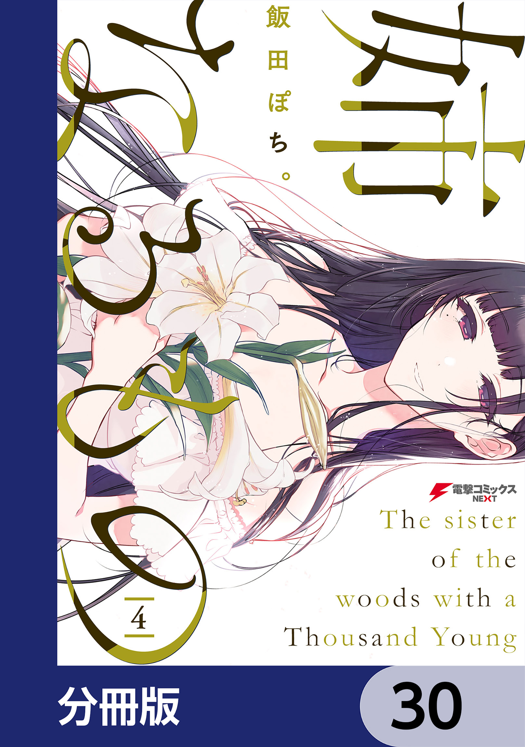 姉なるもの【分冊版】　30