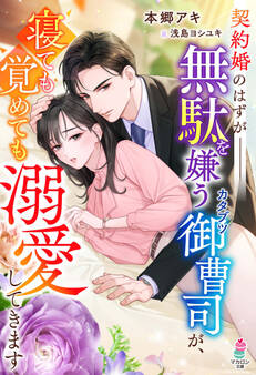 契約婚のはずが――無駄を嫌うカタブツ御曹司が、寝ても覚めても溺愛してきます