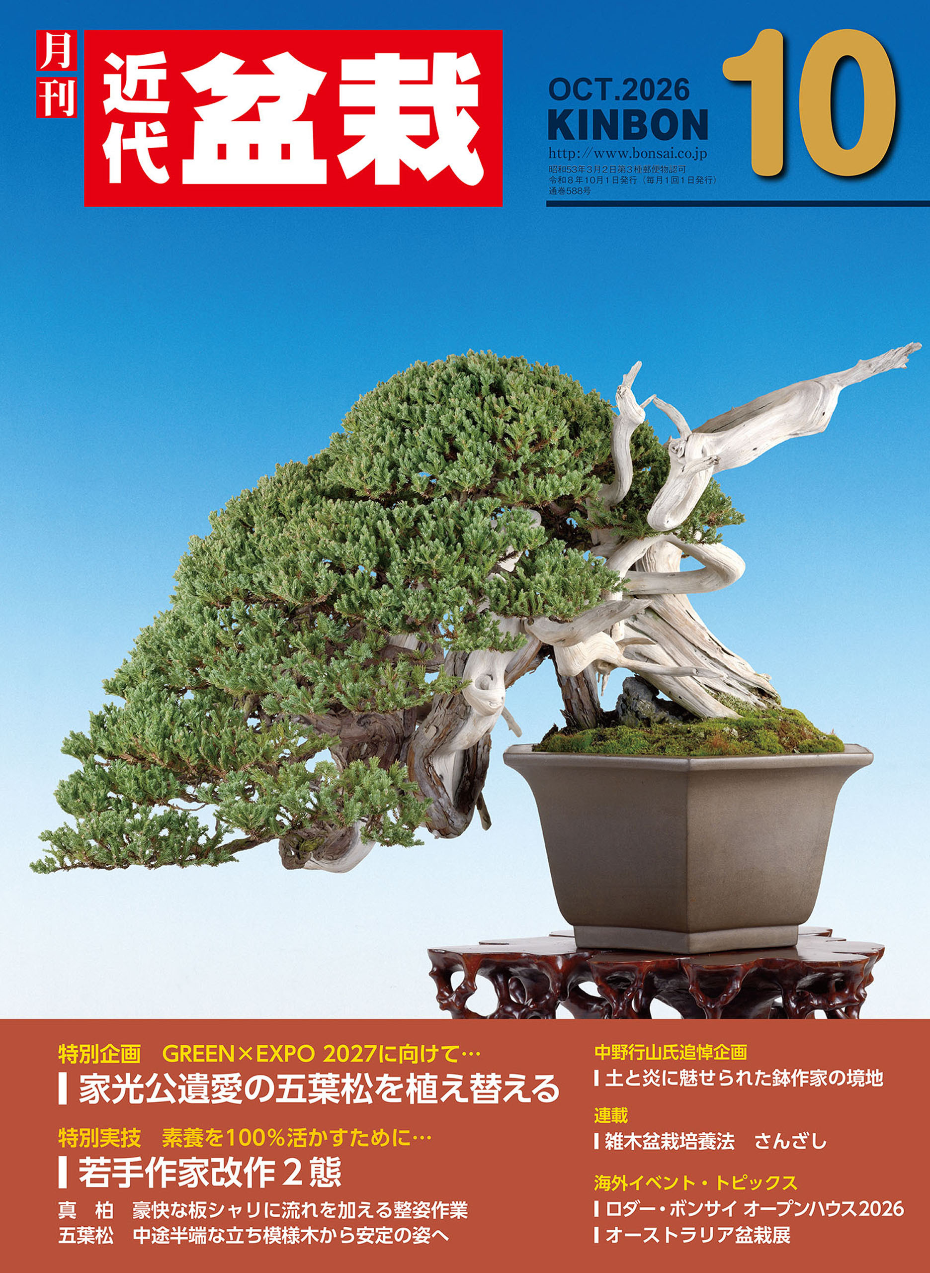 近代盆栽