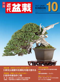 近代盆栽