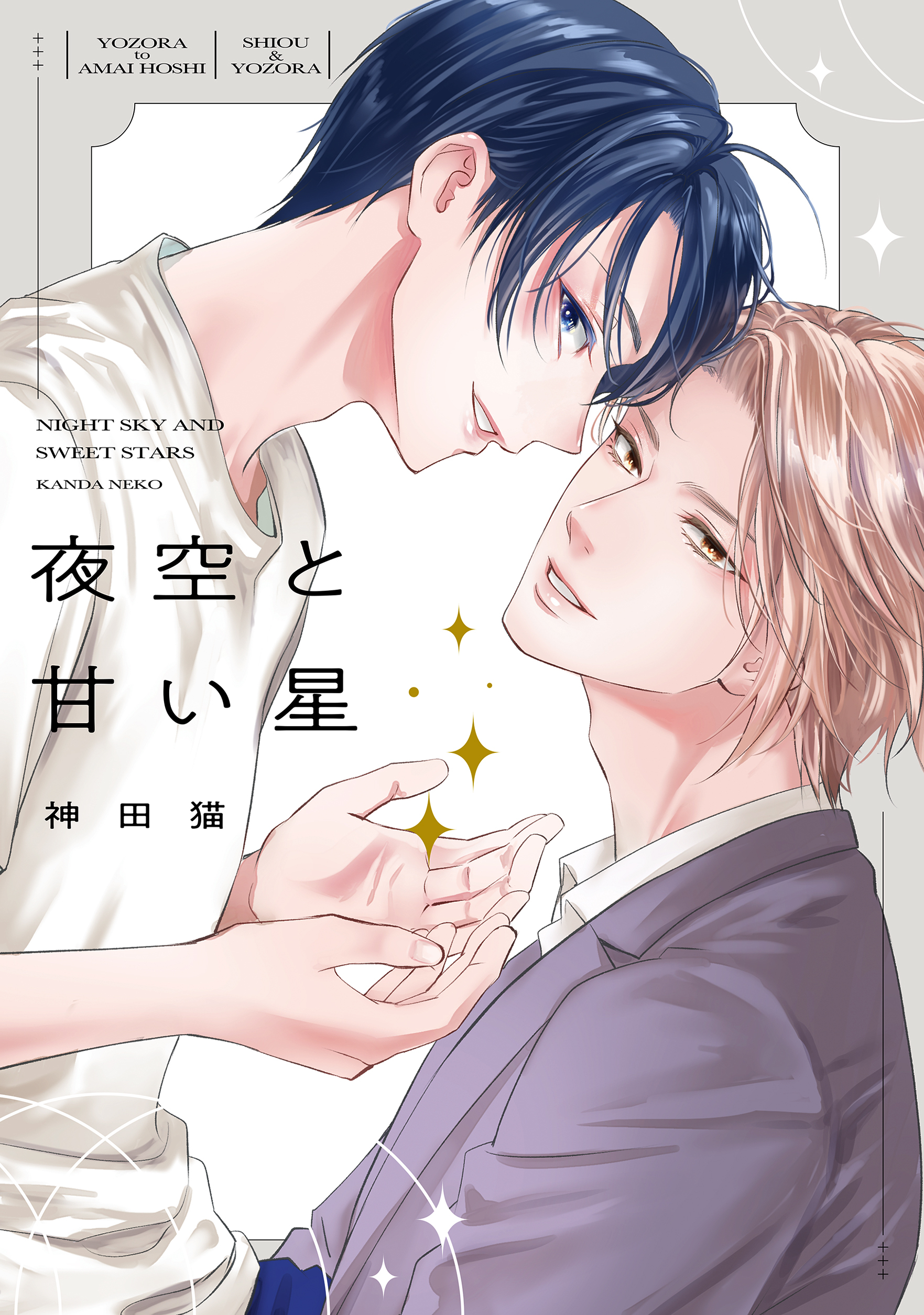 夜空と甘い星【電子限定描き下ろし付き】