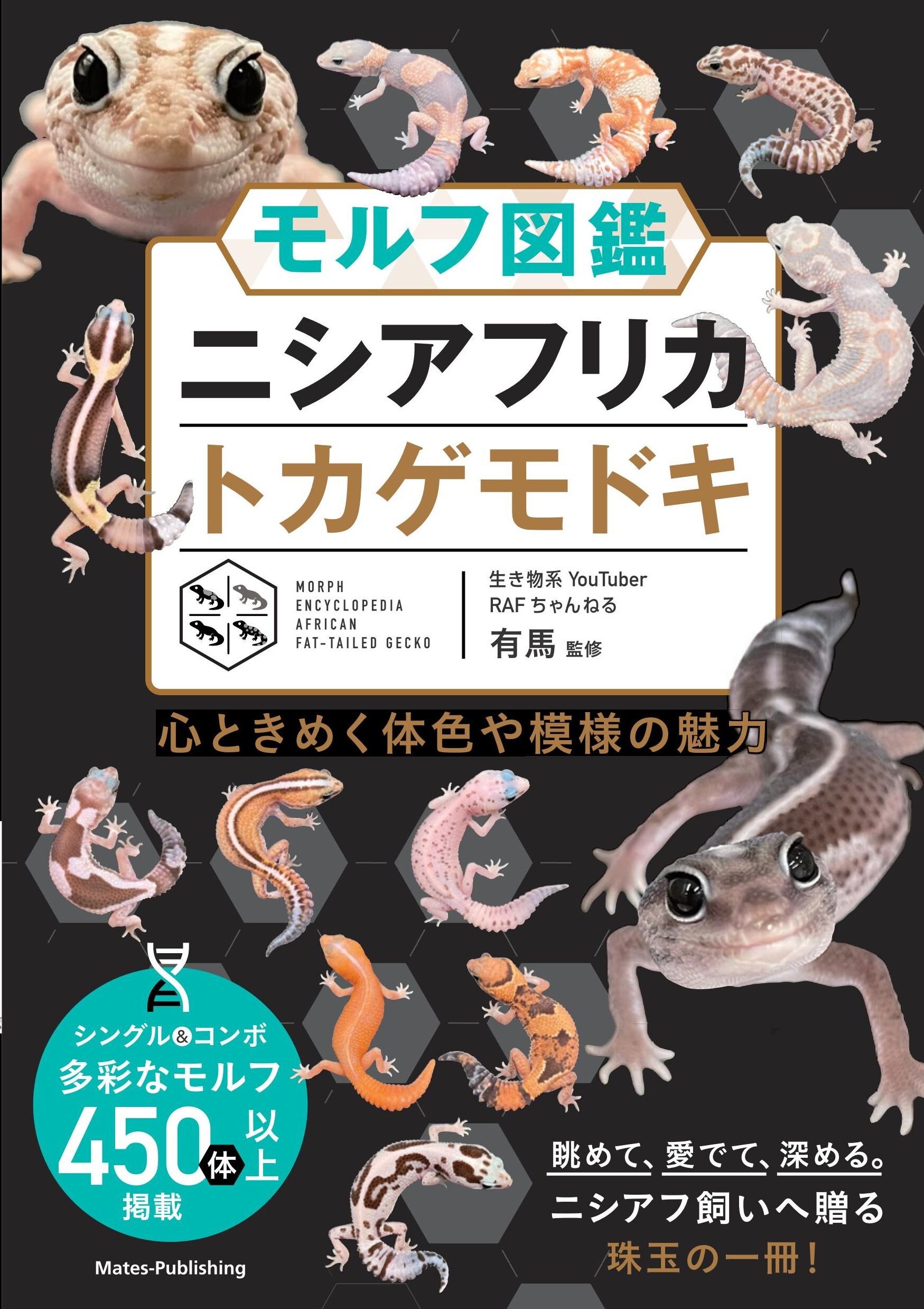 モルフ図鑑 ニシアフリカトカゲモドキ 心ときめく体色や模様の魅力