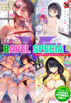 COMIC BAVEL SPECIAL COLLECTION(コミックバベル スペシャルコレクション)VOL67