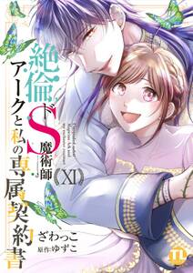 絶倫ドS魔術師アークと私の専属契約書【単行本版】