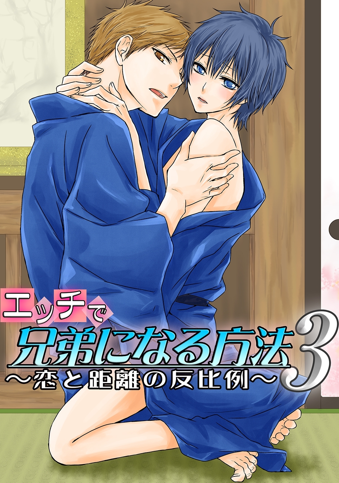 エッチで兄弟になる方法3 ～恋と距離の反比例～