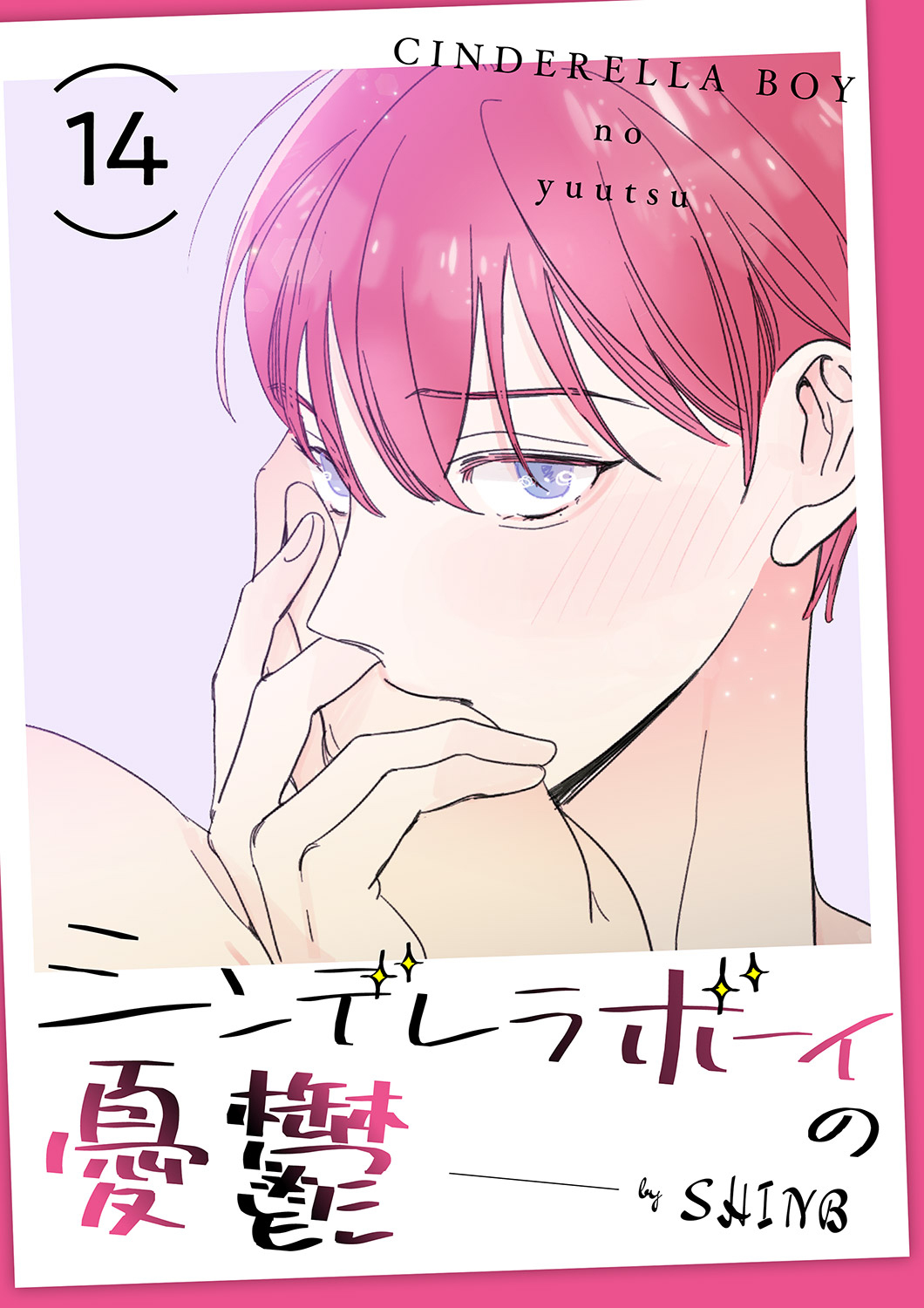 シンデレラボーイの憂鬱１４