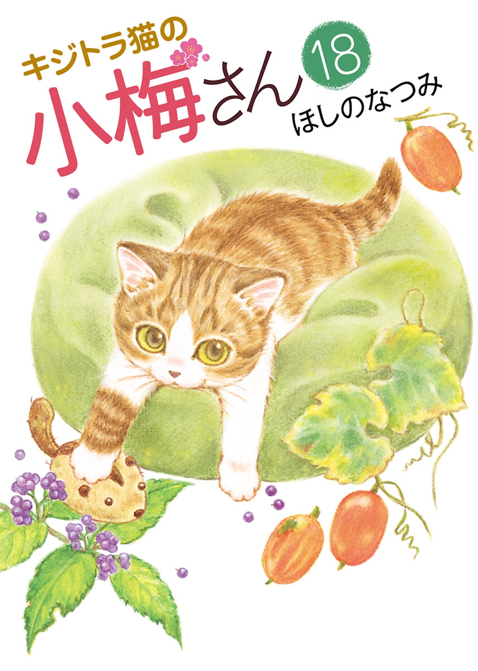 キジトラ猫の小梅さん（18）