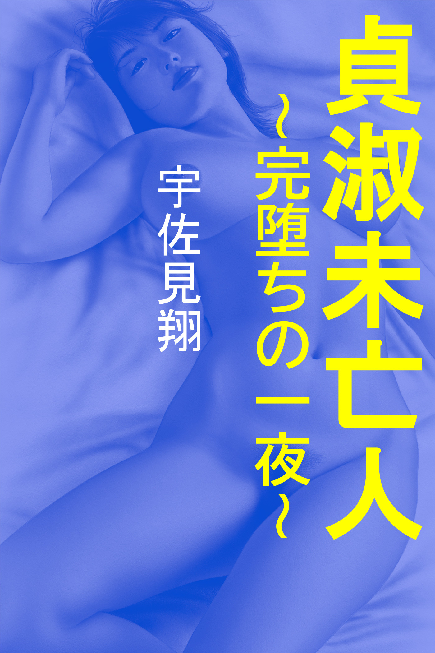 貞淑未亡人～完堕ちの一夜～