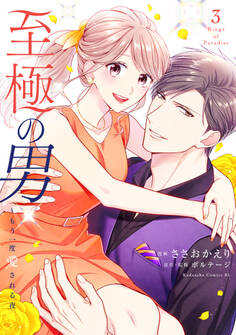 至極の男~もう一度愛される夜(3)