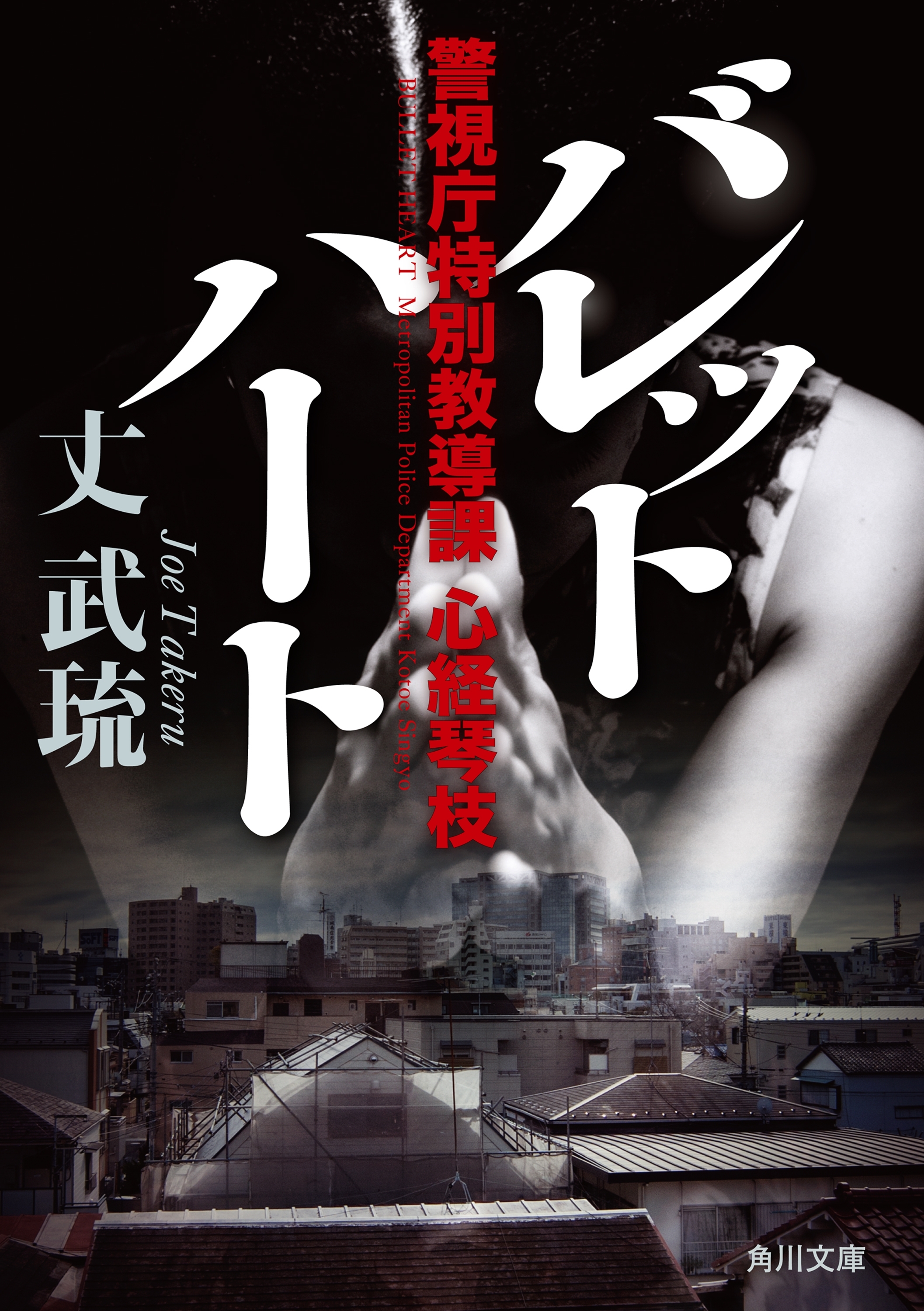 警視庁特別教導課 心経琴枝