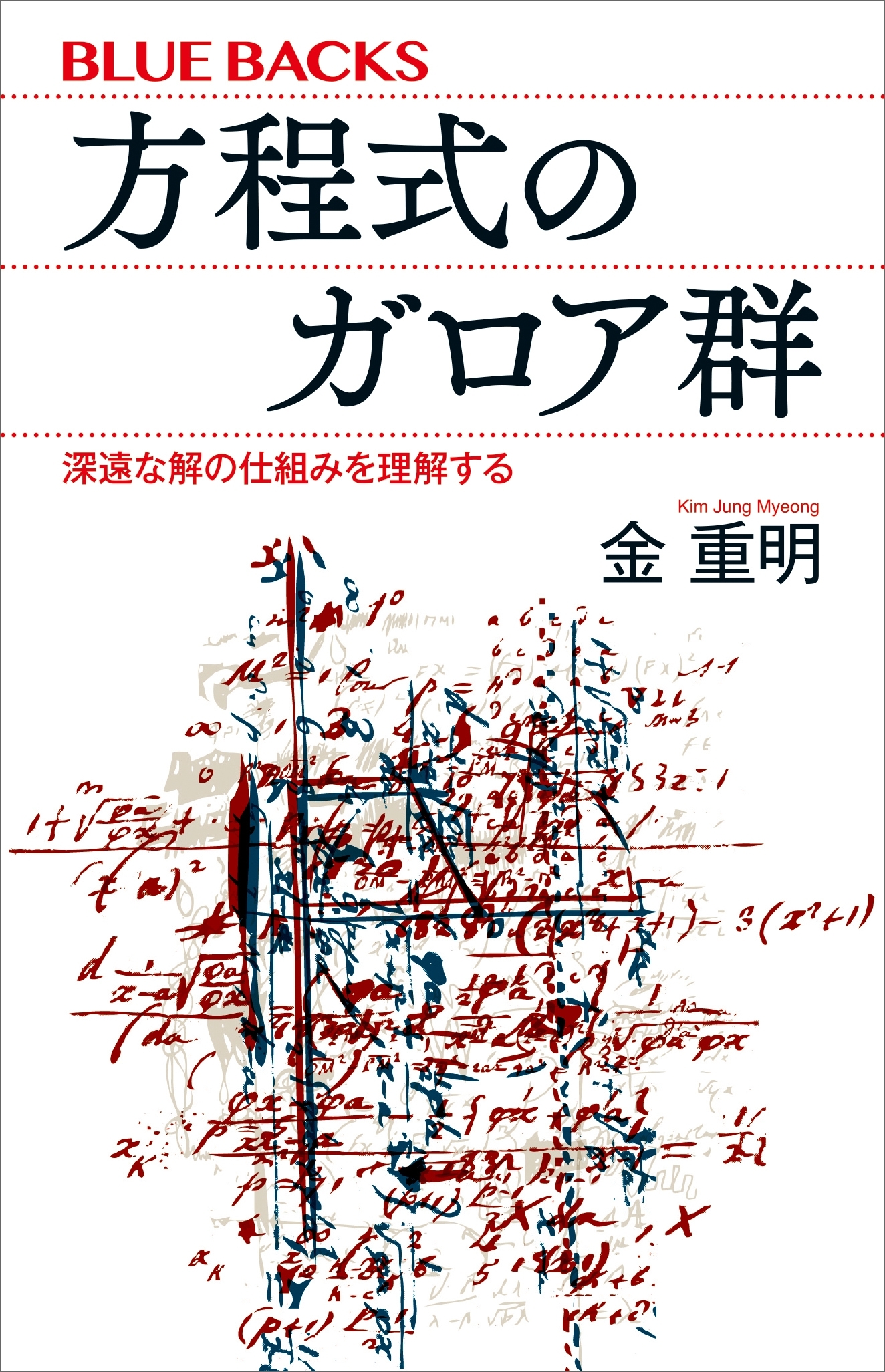 方程式のガロア群　深遠な解の仕組みを理解する