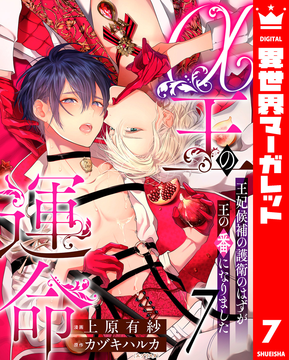 α王の運命～王妃候補の護衛のはずが王の番になりました～ 7