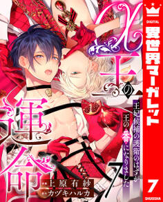 α王の運命~王妃候補の護衛のはずが王の番になりました~ 7