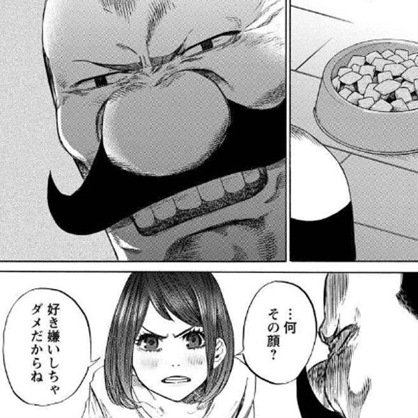 Hdapmj1 Iwgpum