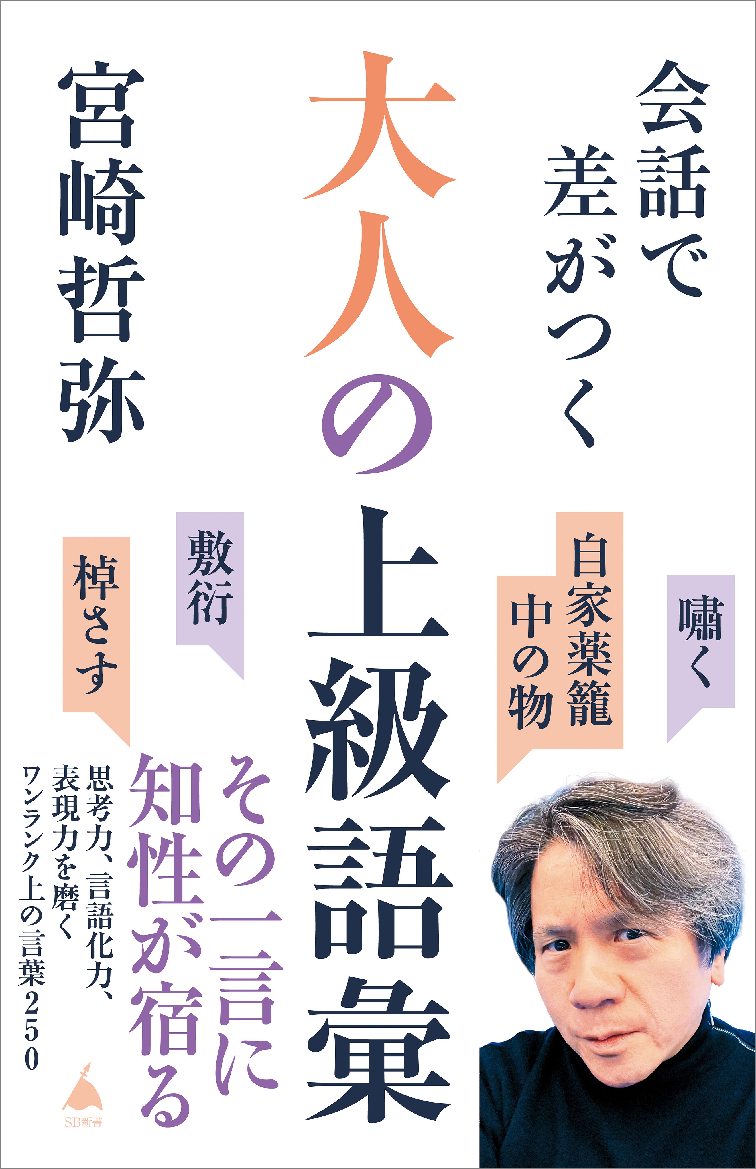 会話で差がつく大人の上級語彙