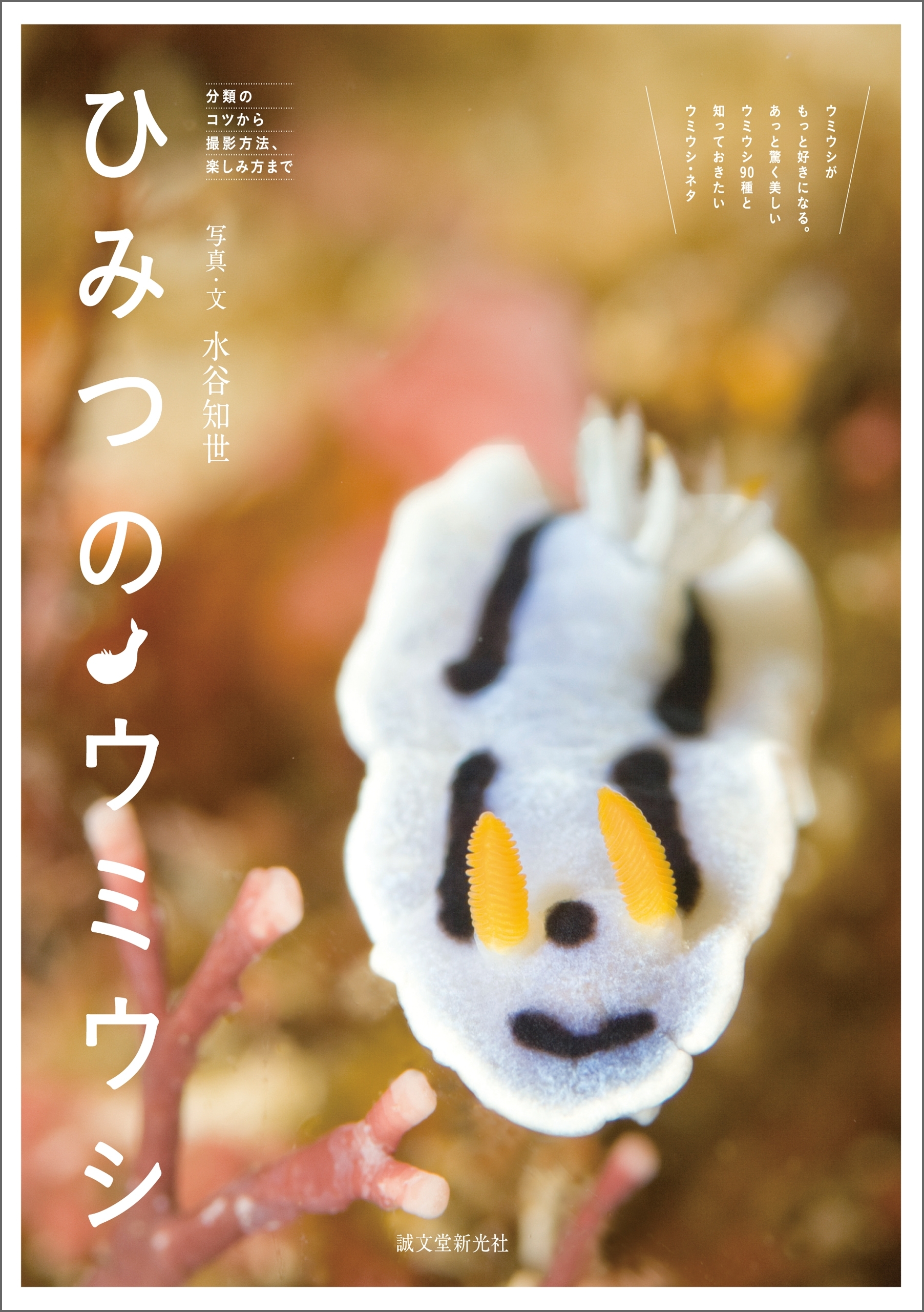 ひみつのウミウシ