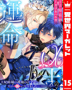 α王の運命~王妃候補の護衛のはずが王の番になりました~ 15