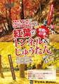 東海ウォーカー特別編集 紅葉のトンネル&じゅうたん感動の45景