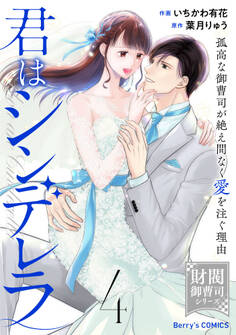 君はシンデレラ~孤高な御曹司が絶え間なく愛を注ぐ理由~【財閥御曹司シリーズ】