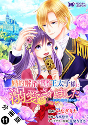 婚約解消を提案したら王太子様に溺愛されました ～お手をどうぞ、僕の君～(コミック) 分冊版 ： 11