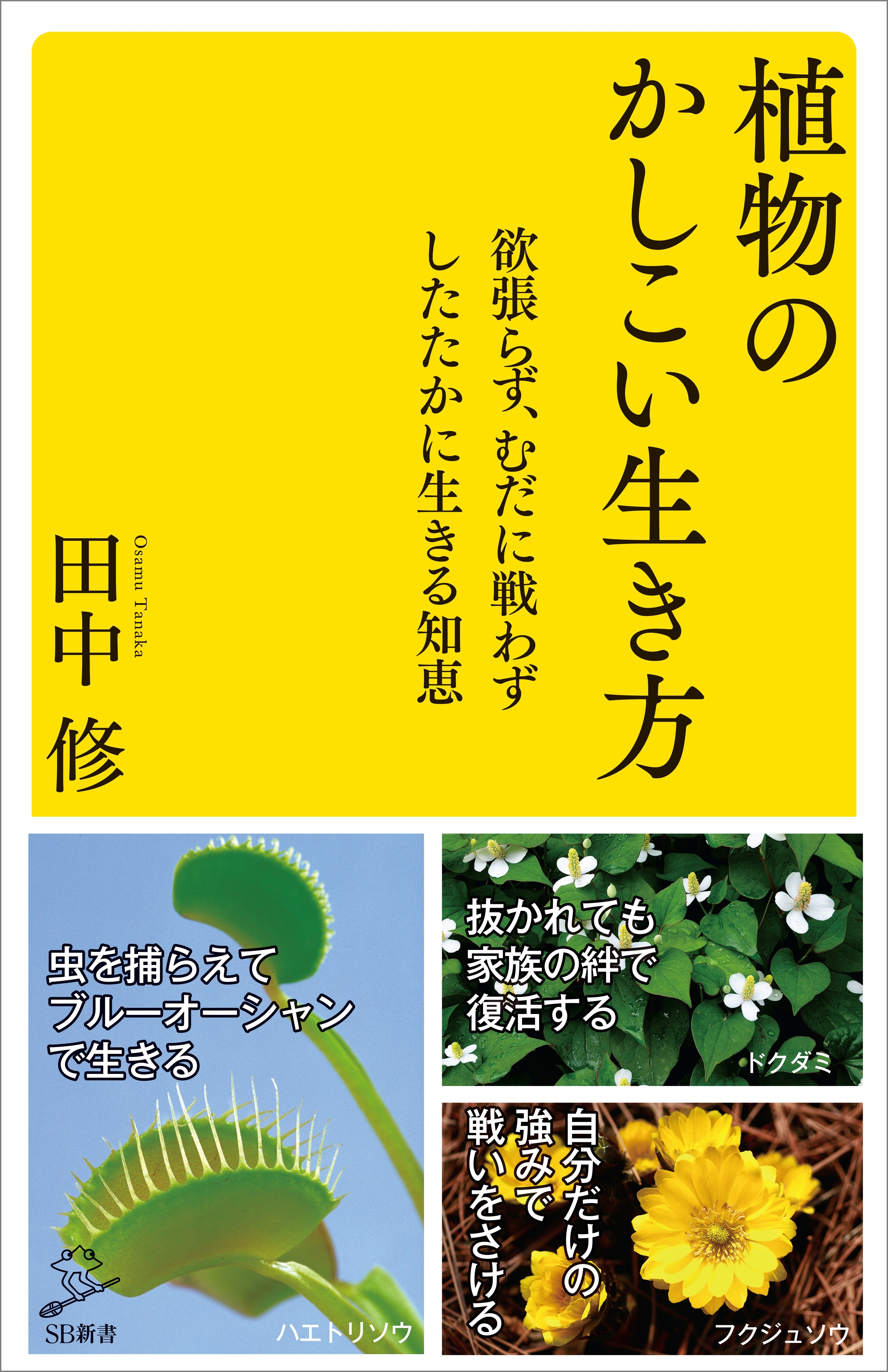 植物のかしこい生き方