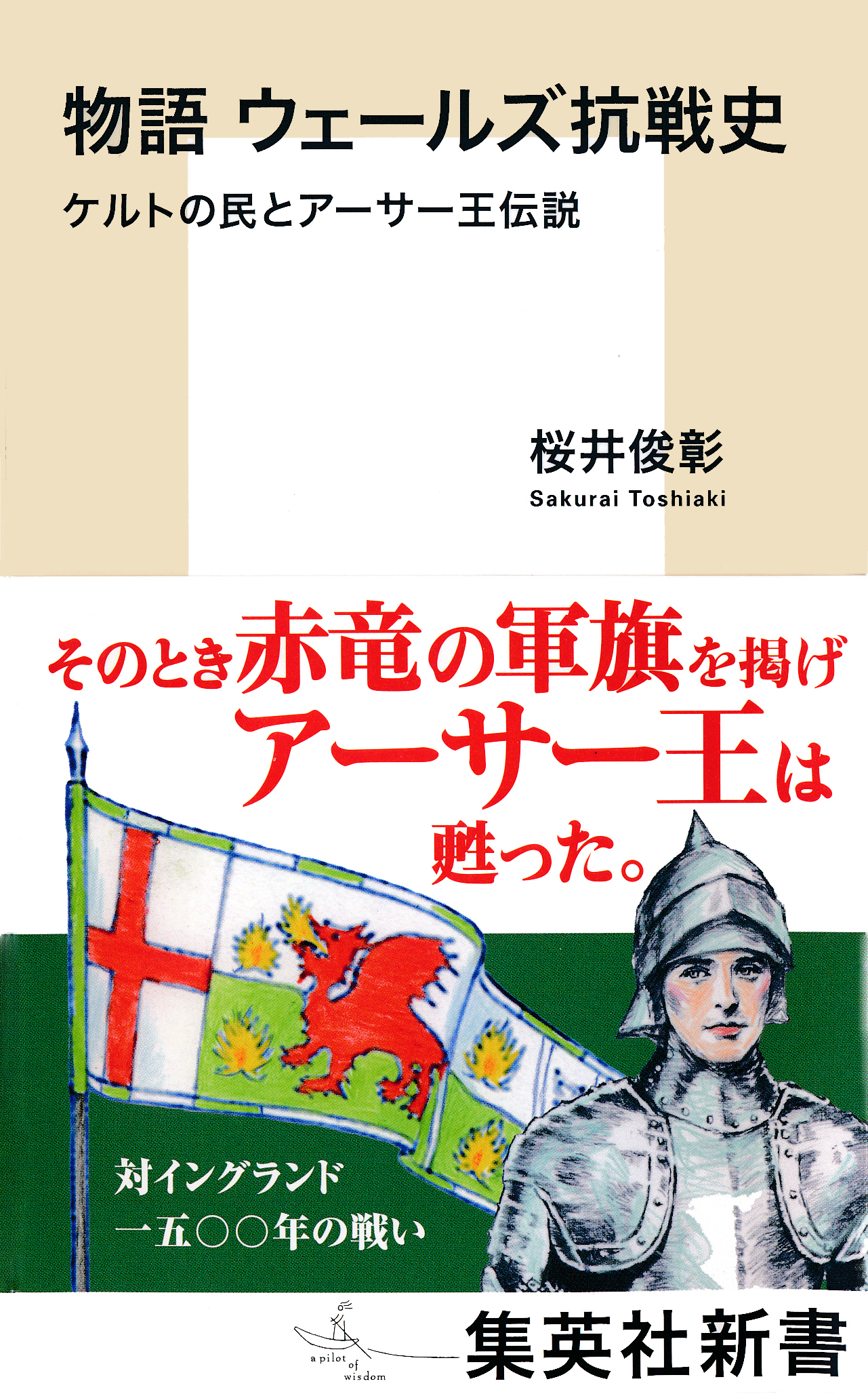 物語　ウェールズ抗戦史　ケルトの民とアーサー王伝説