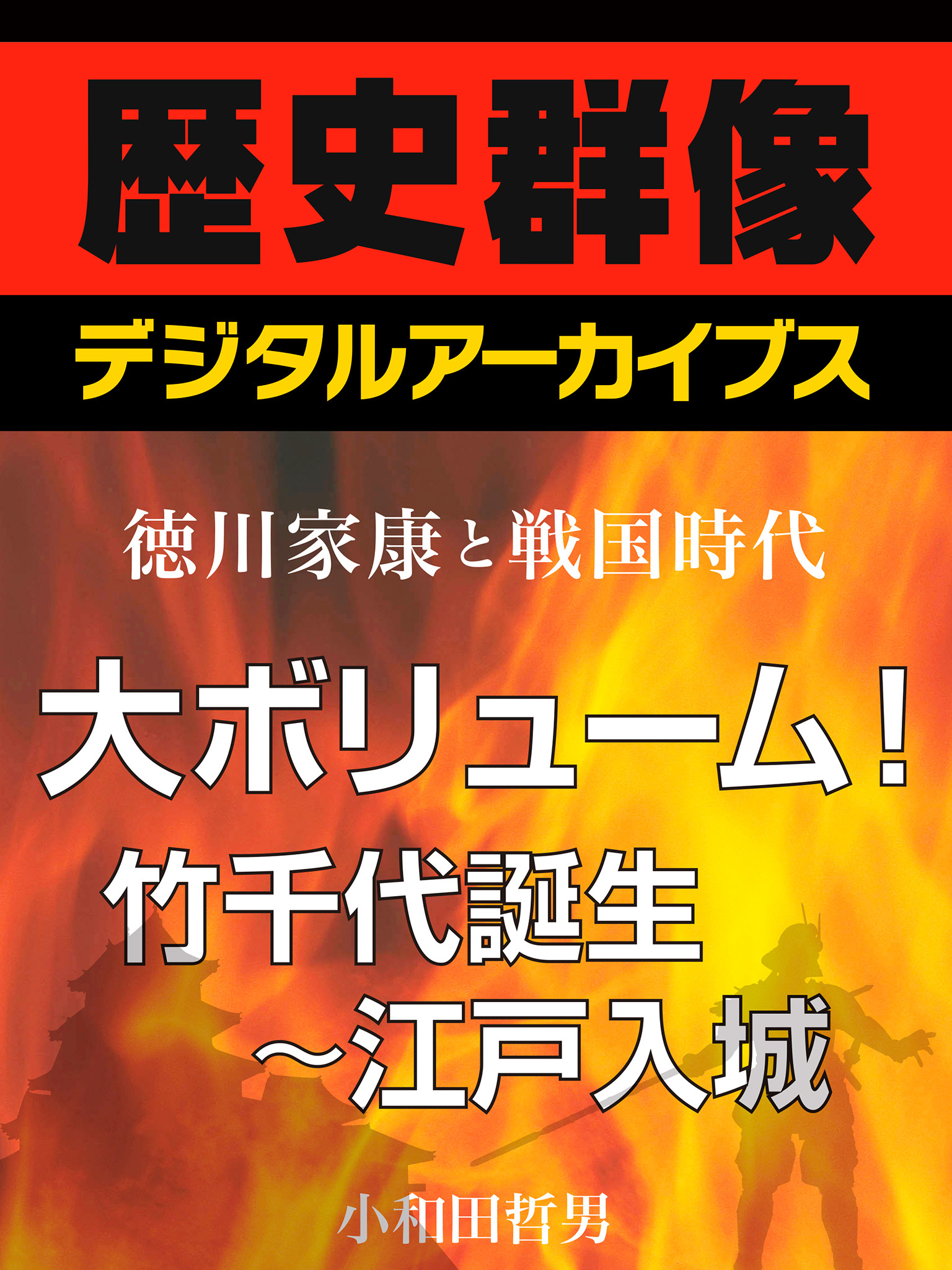 ＜徳川家康と戦国時代＞大ボリューム！竹千代誕生～江戸入城