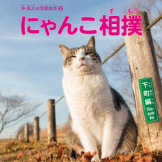 沖昌之の写真絵本 にゃんこ相撲 〈下町編〉