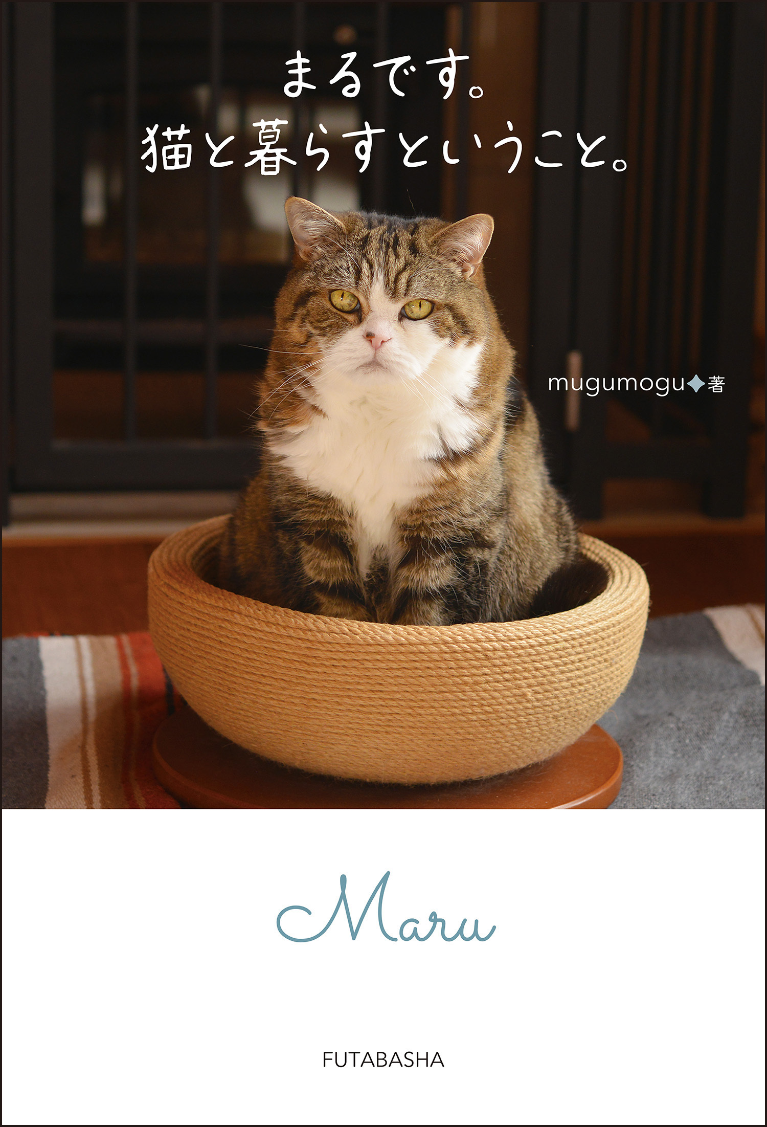 まるです。猫と暮らすということ。