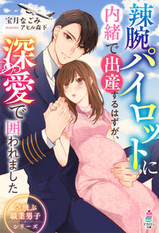 辣腕パイロットに内緒で出産するはずが、深愛で囲われました【空飛ぶ職業男子シリーズ】