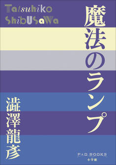 P+D BOOKS 魔法のランプ