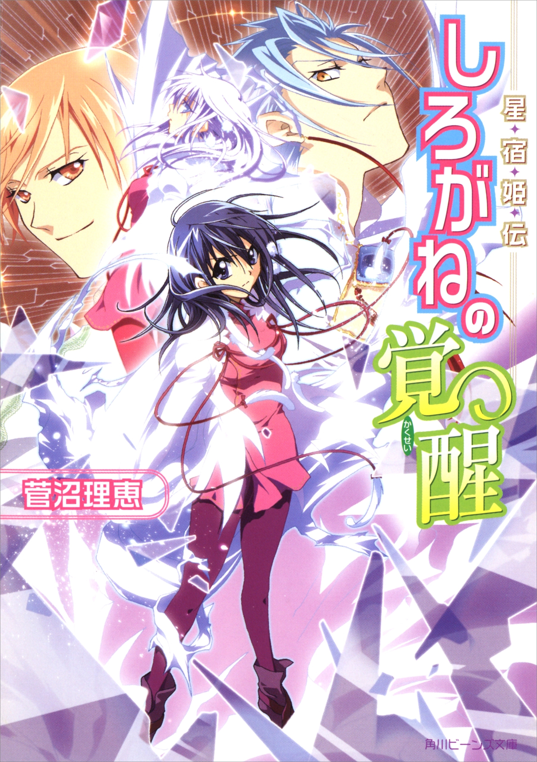星宿姫伝　しろがねの覚醒