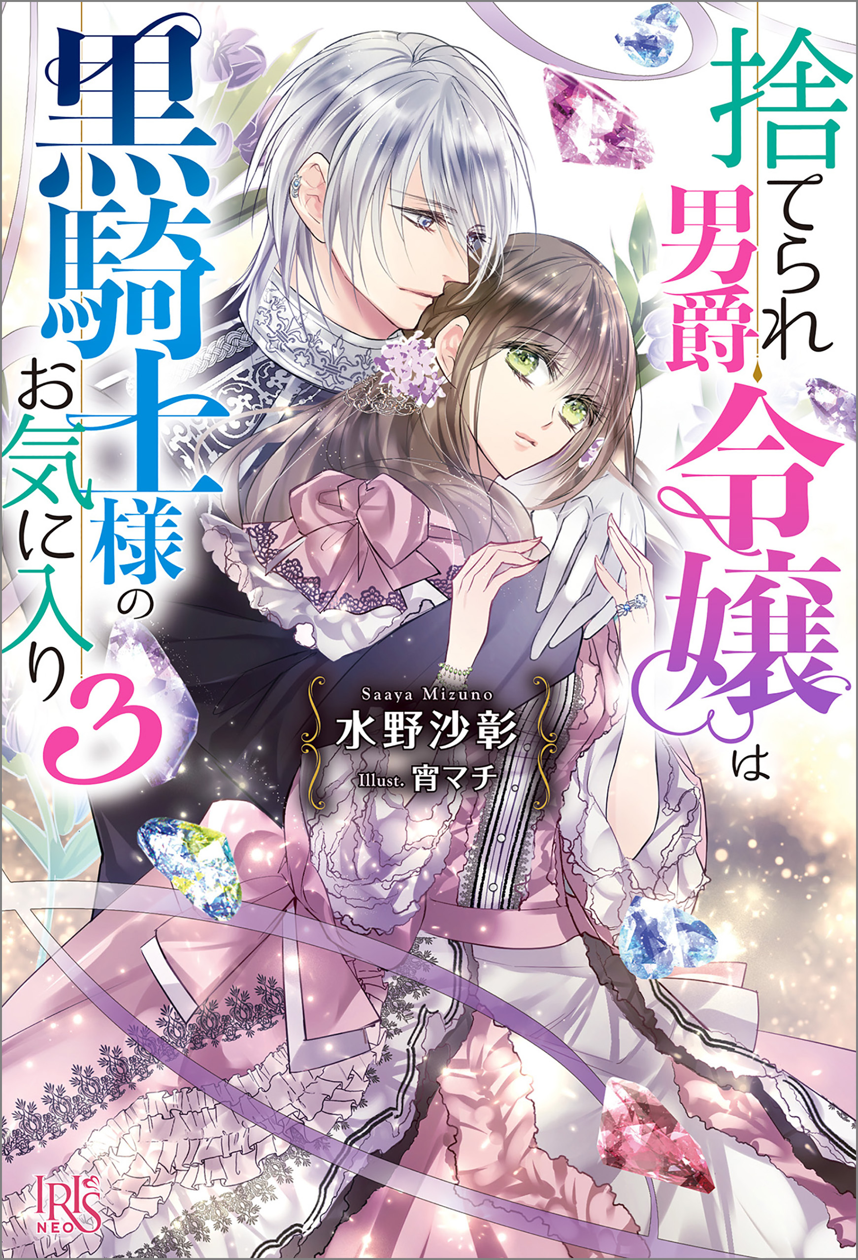 捨てられ男爵令嬢は黒騎士様のお気に入り: 3【特典SS付】