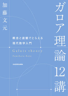ガロア理論12講 概念と直観でとらえる現代数学入門