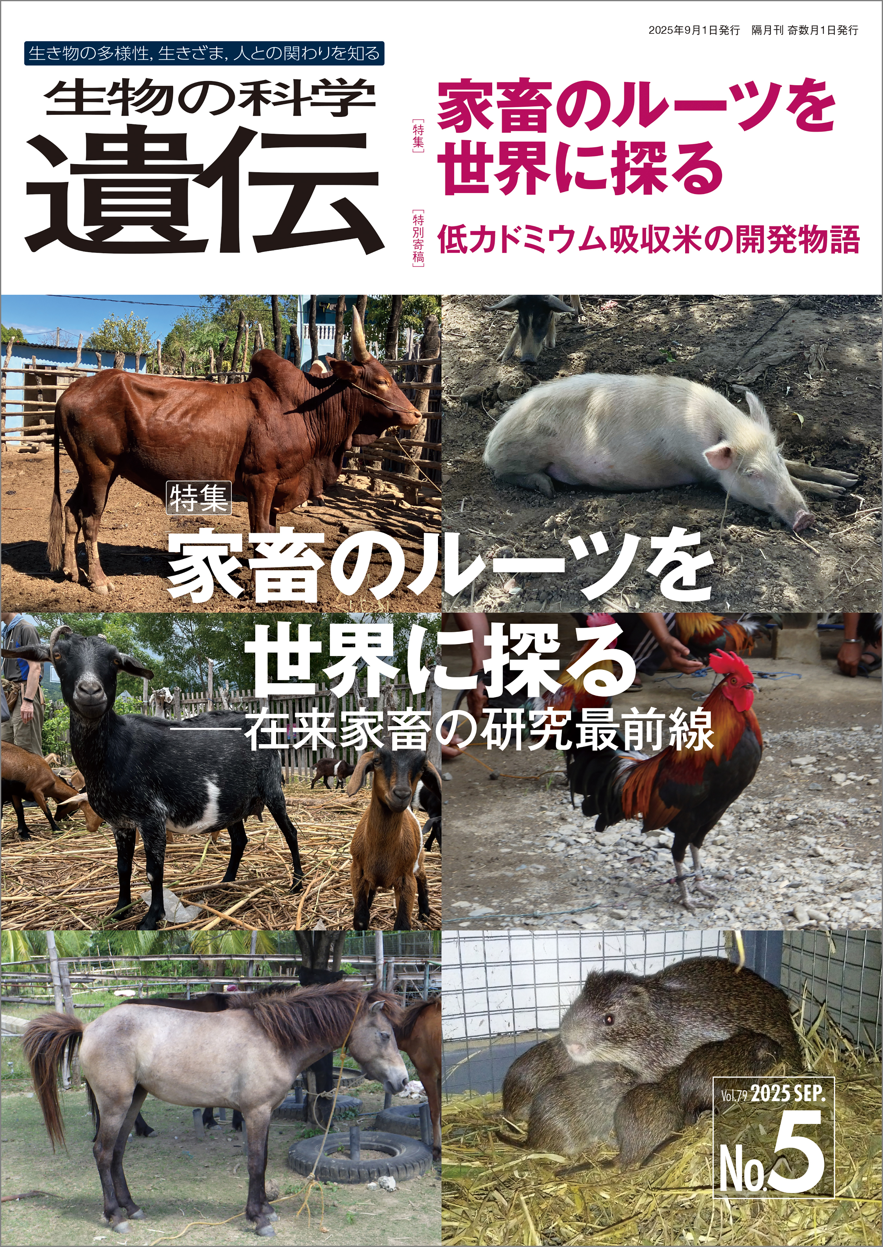 生物の科学 遺伝 2025年9月発行号 Vol.79 No.5