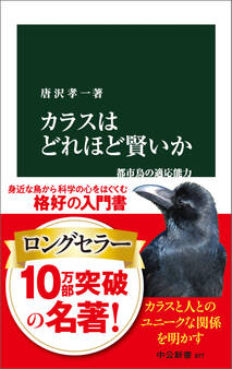 カラスはどれほど賢いか 都市鳥の適応能力