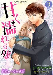 甘く濡れる嘘～結婚という名の復讐～ ： 3