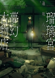 瑠璃宮夢幻古物店 ： 3