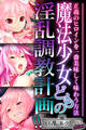 魔法少女どもの淫乱調教計画!! ~正義のヒロインを一番美味しく味わう方法~【CG集コレクション ミニ】
