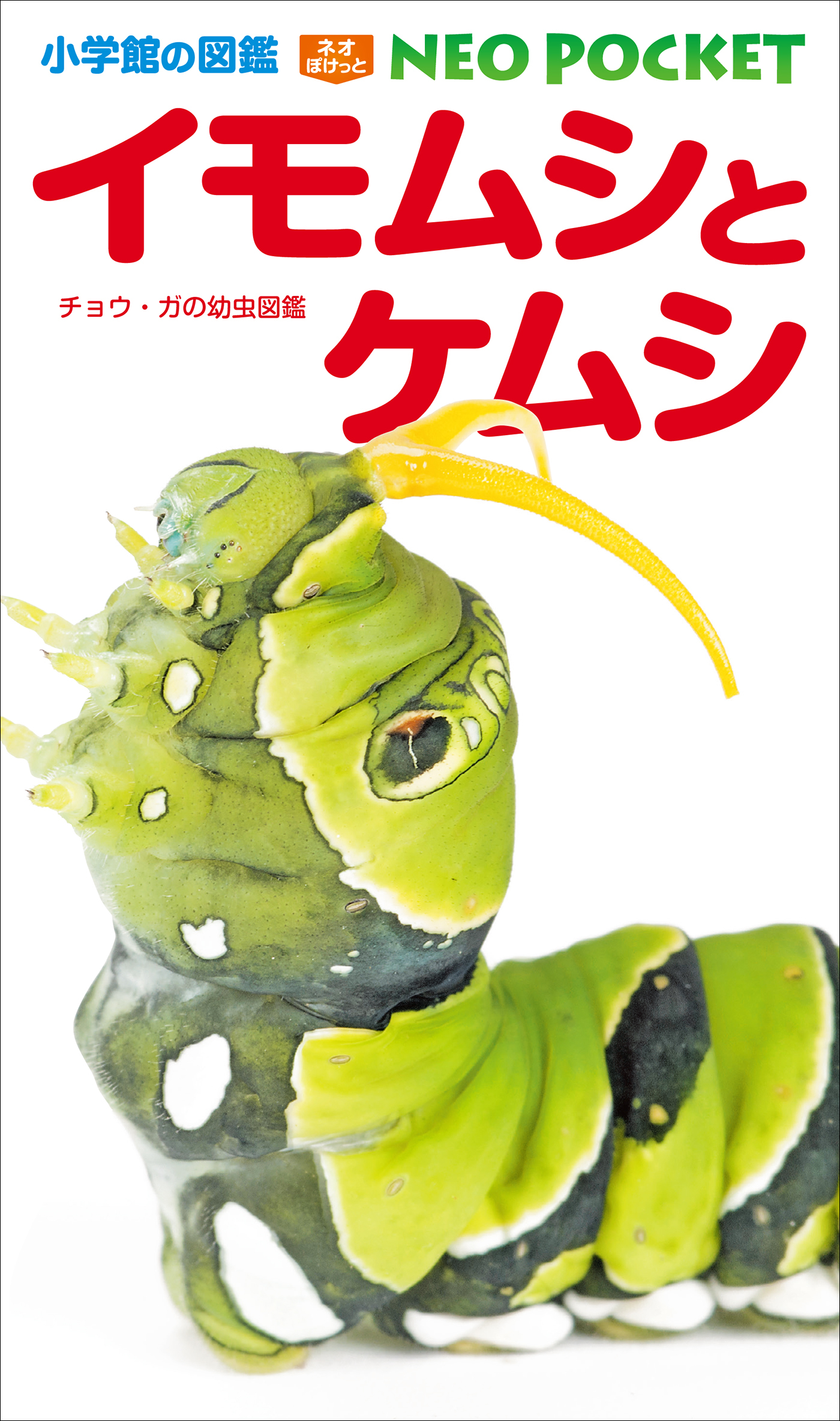 小学館の図鑑NEOポケット イモムシとケムシ　～チョウ・ガの幼虫図鑑～