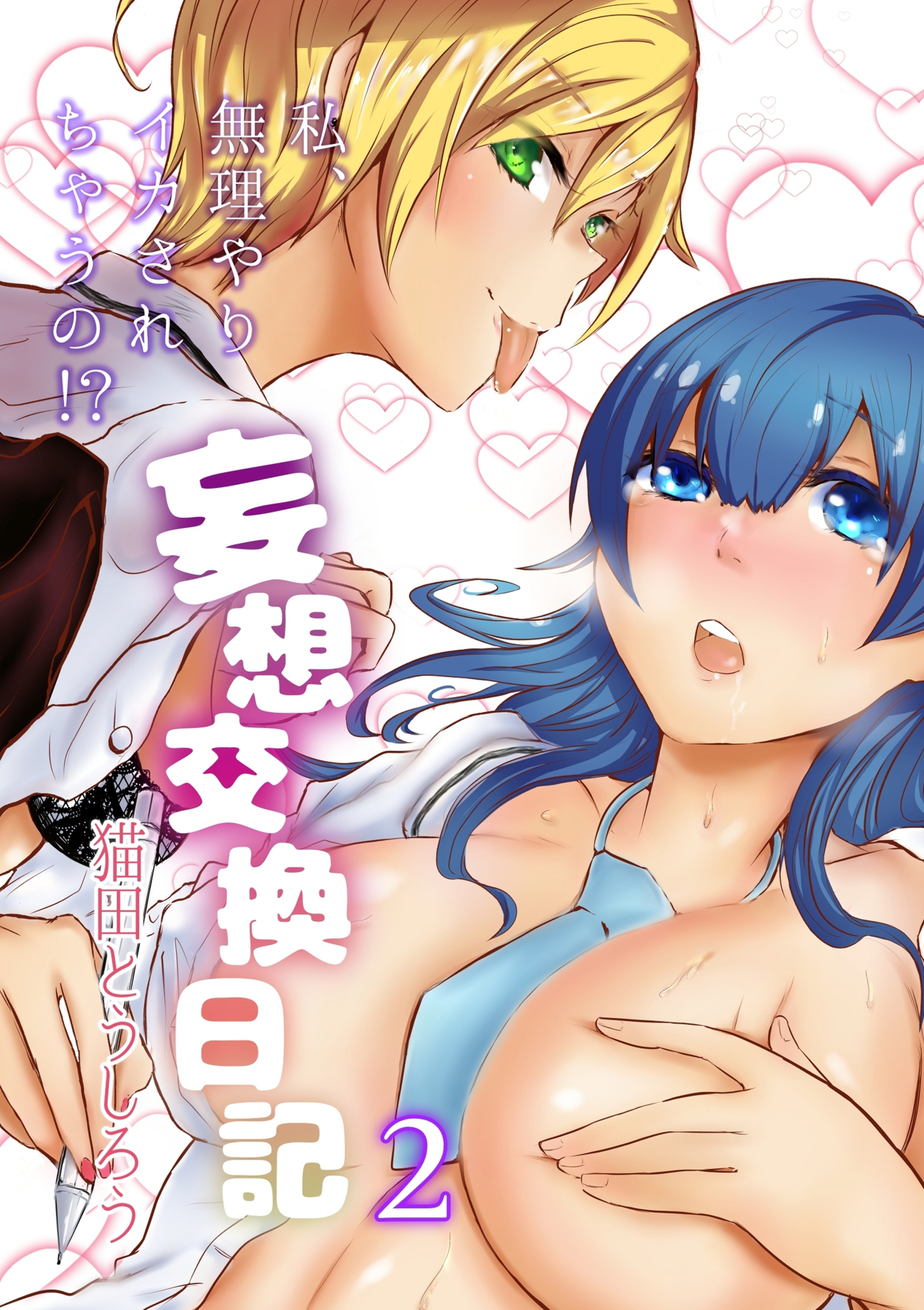 妄想交換日記～私、無理やりイカされちゃうの！？～2