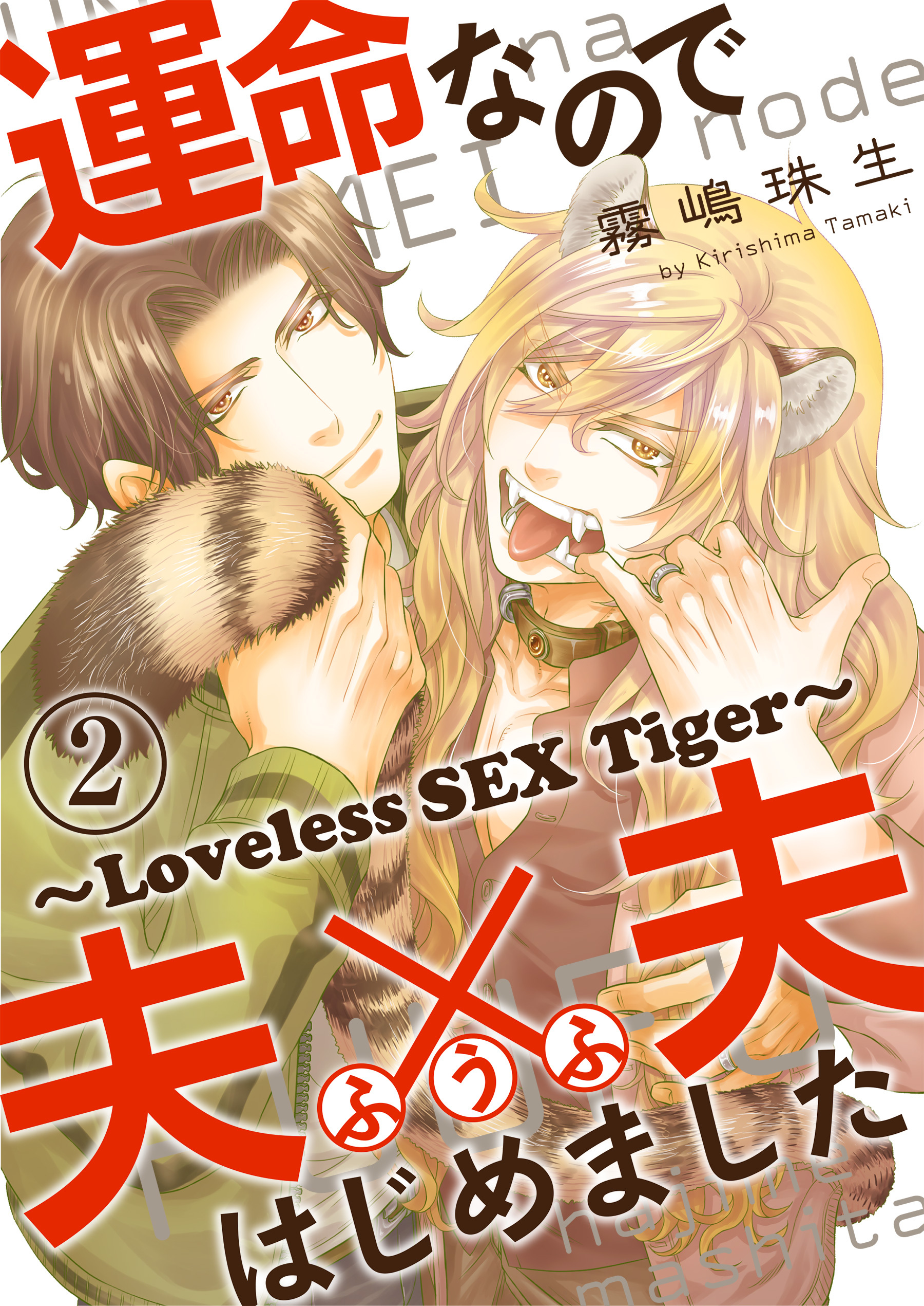 運命なので夫×夫はじめました　２～Loveless SEX Tiger～