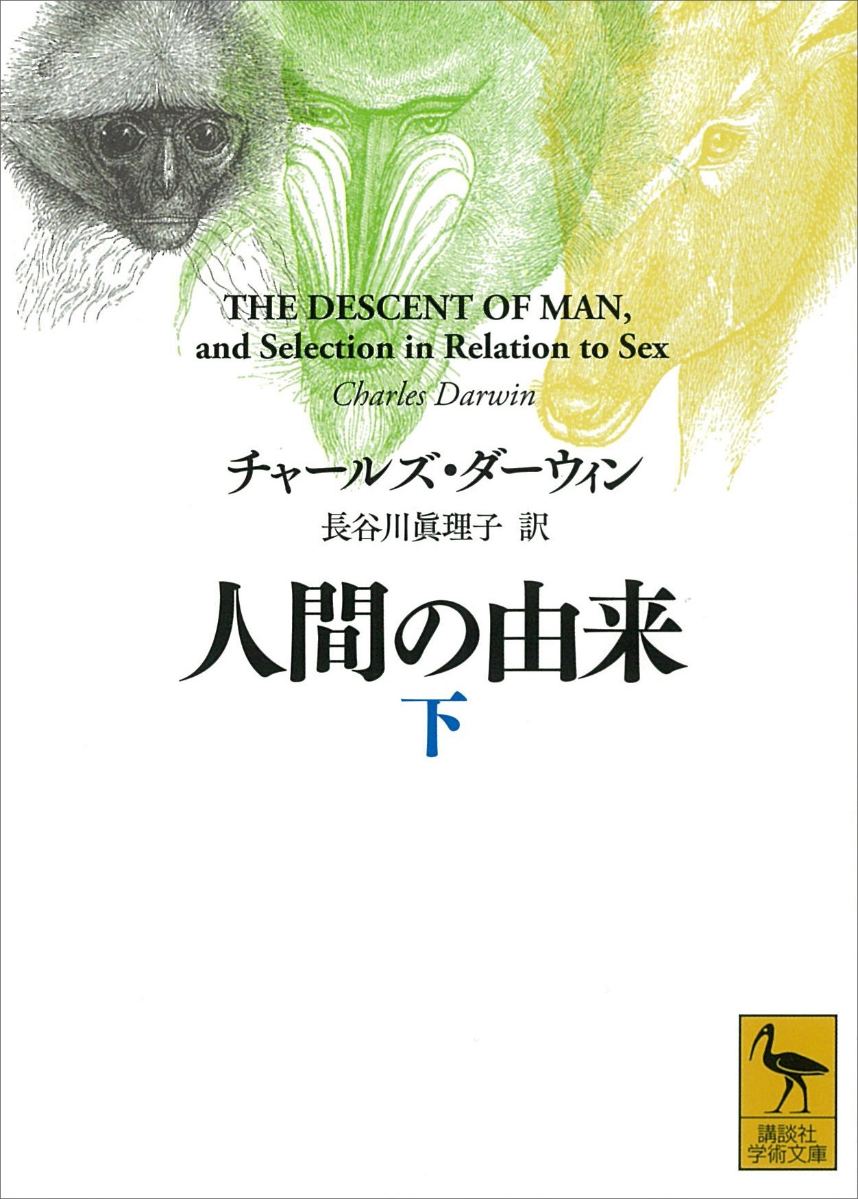 人間の由来
